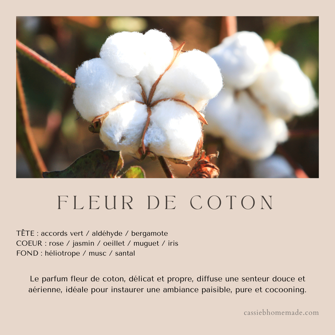 Fleur de coton 180 g
